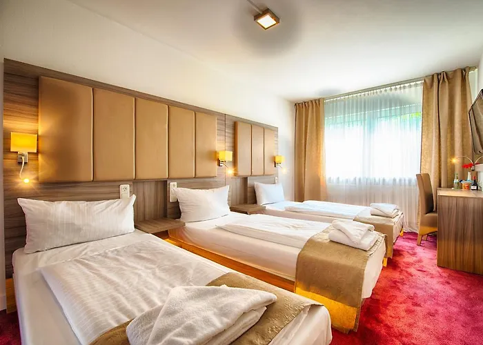 Hotel Richter 3*